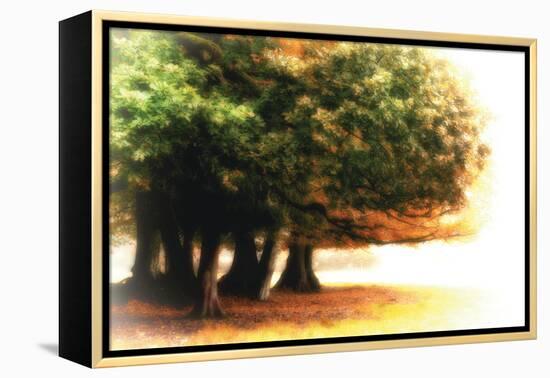 The Assembly-Viviane Fedieu Daniel-Framed Premier Image Canvas