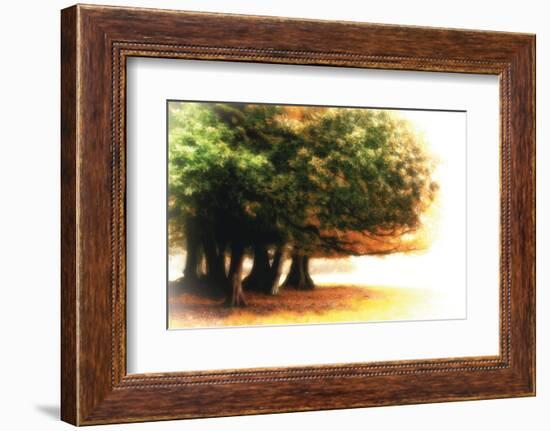 The Assembly-Viviane Fedieu Daniel-Framed Photographic Print