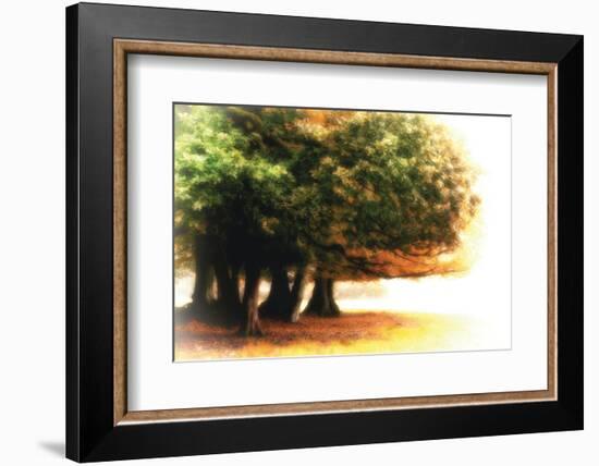 The Assembly-Viviane Fedieu Daniel-Framed Photographic Print