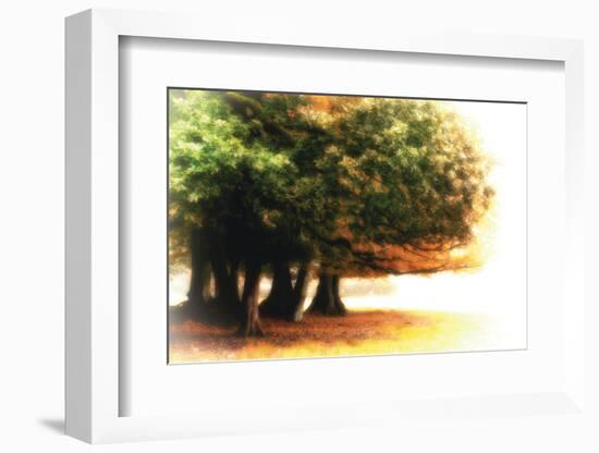 The Assembly-Viviane Fedieu Daniel-Framed Photographic Print