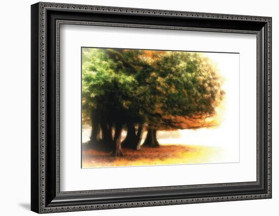 The Assembly-Viviane Fedieu Daniel-Framed Photographic Print