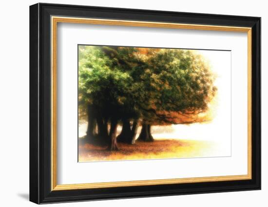 The Assembly-Viviane Fedieu Daniel-Framed Photographic Print