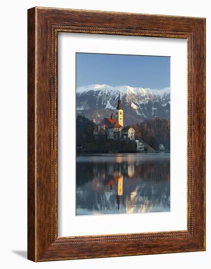 The Assumption of Mary Pilgrimage Church on Lake Bled, Bled, Slovenia, Europe-Miles Ertman-Framed Photographic Print