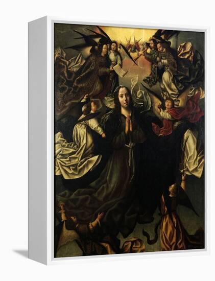 The Assumption of the Blessed Virgin Mary-Vasco Fernandes-Framed Premier Image Canvas
