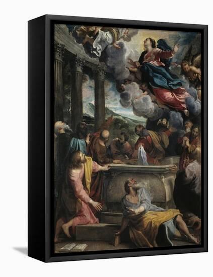 The Assumption of the Blessed Virgin Mary-Annibale Carracci-Framed Premier Image Canvas