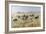 The Attack, 1897-Charles Marion Russell-Framed Giclee Print