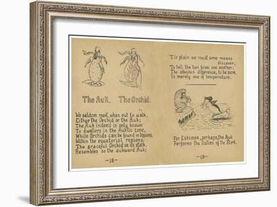 The Auk. The Orchid.-Robert Williams Wood-Framed Art Print