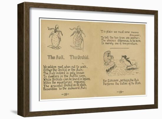 The Auk. The Orchid.-Robert Williams Wood-Framed Art Print