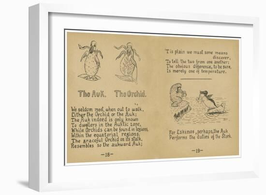 The Auk. The Orchid.-Robert Williams Wood-Framed Art Print
