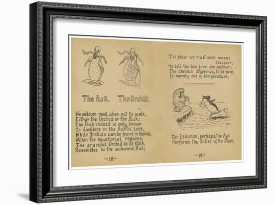 The Auk. The Orchid.-Robert Williams Wood-Framed Art Print