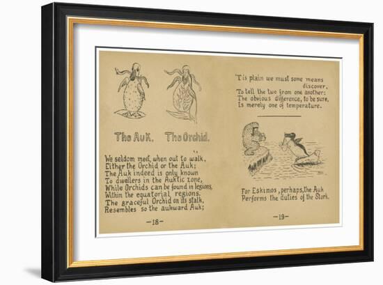 The Auk. The Orchid.-Robert Williams Wood-Framed Art Print