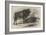 The Aurochs Presented to the Zoological Society, by the Emperor of Russia-Harrison William Weir-Framed Giclee Print