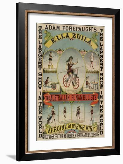 The Australian Funambulist.-null-Framed Giclee Print