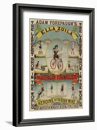 The Australian Funambulist.-null-Framed Giclee Print