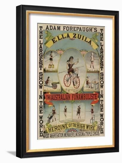 The Australian Funambulist.-null-Framed Giclee Print