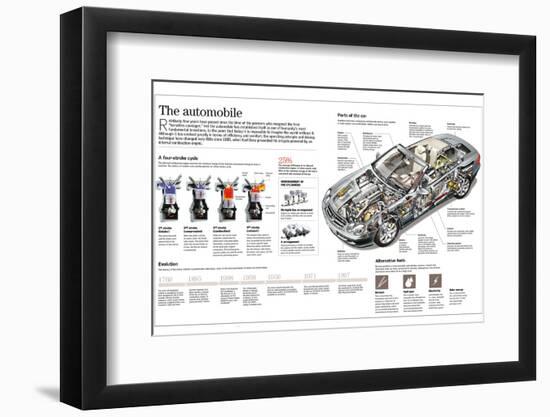 Photographic Print, , large
