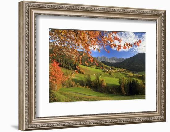 The Autumn Colors of a Tree Overlooking Val Di Funes and St. Magdalena Village-Roberto Moiola-Framed Photographic Print