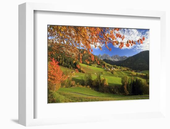 The Autumn Colors of a Tree Overlooking Val Di Funes and St. Magdalena Village-Roberto Moiola-Framed Photographic Print