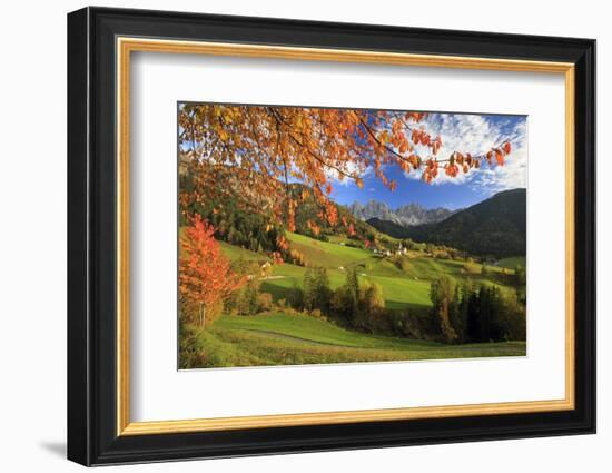 The Autumn Colors of a Tree Overlooking Val Di Funes and St. Magdalena Village-Roberto Moiola-Framed Photographic Print