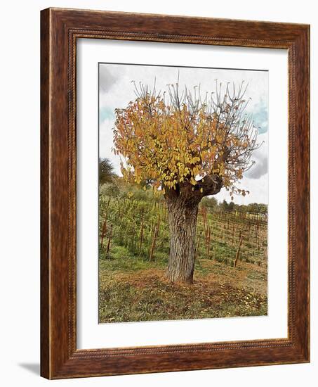 The Autumn Guardian-Dorothy Berry-Lound-Framed Giclee Print
