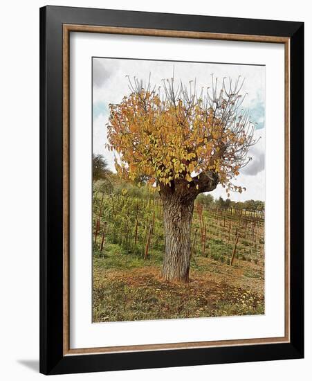 The Autumn Guardian-Dorothy Berry-Lound-Framed Giclee Print