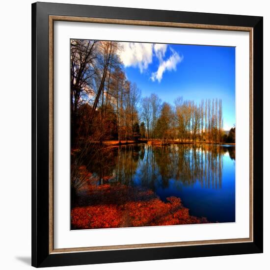 The Autumn in Winter-Philippe Sainte-Laudy-Framed Photographic Print