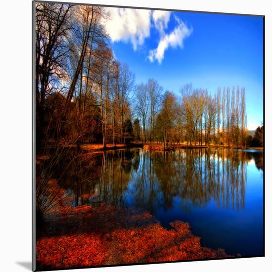 The Autumn in Winter-Philippe Sainte-Laudy-Mounted Photographic Print