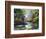 The Autumn Landscape Executed By Oil On A Canvas-balaikin2009-Framed Art Print