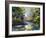 The Autumn Landscape Executed By Oil On A Canvas-balaikin2009-Framed Art Print