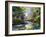 The Autumn Landscape Executed By Oil On A Canvas-balaikin2009-Framed Art Print