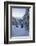 The Autumn Snowy Landscape. Casera Lake, Livrio Valley, Orobie Alps, Valtellina, Lombardy, Italy-Roberto Moiola-Framed Photographic Print