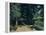 The Avenue at the Jas De Bouffan-Paul Cézanne-Framed Premier Image Canvas