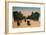 The Avenue des Champs-Elysées and the Marly Horses, Paris, c1920-Unknown-Framed Giclee Print