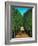 The Avenue in the Park at Saint Cloud, 1907/08-Henri Rousseau-Framed Giclee Print