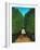 The Avenue in the Park at Saint Cloud, 1907/08-Henri Rousseau-Framed Giclee Print