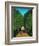 The Avenue in the Park at Saint Cloud, 1907/08-Henri Rousseau-Framed Giclee Print