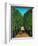 The Avenue in the Park at Saint Cloud, 1907/08-Henri Rousseau-Framed Giclee Print