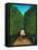 The Avenue in the Park at Saint Cloud-Henri Rousseau-Framed Premier Image Canvas