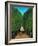 The Avenue in the Park at Saint Cloud-Henri Rousseau-Framed Giclee Print