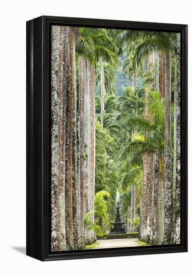 The Avenue of Royal Palms, Rio De Janeiro Botanical Garden.-Jon Hicks-Framed Premier Image Canvas