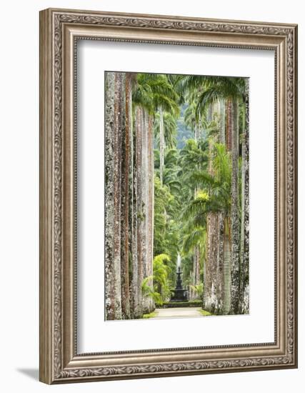 The Avenue of Royal Palms, Rio De Janeiro Botanical Garden.-Jon Hicks-Framed Photographic Print