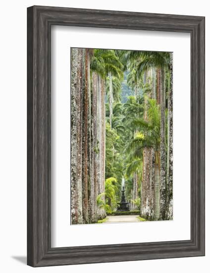 The Avenue of Royal Palms, Rio De Janeiro Botanical Garden.-Jon Hicks-Framed Photographic Print