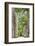 The Avenue of Royal Palms, Rio De Janeiro Botanical Garden.-Jon Hicks-Framed Photographic Print