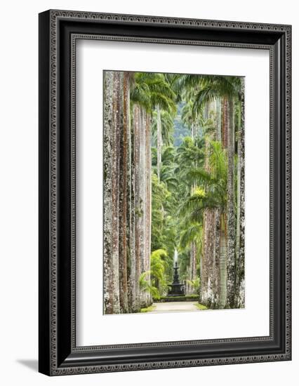 The Avenue of Royal Palms, Rio De Janeiro Botanical Garden.-Jon Hicks-Framed Photographic Print