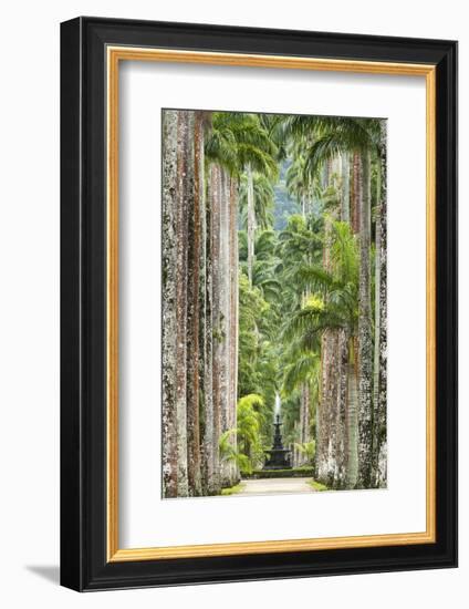 The Avenue of Royal Palms, Rio De Janeiro Botanical Garden.-Jon Hicks-Framed Photographic Print