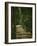 The Avenue (Park of Chantilly), circa 1879-Paul Cézanne-Framed Giclee Print