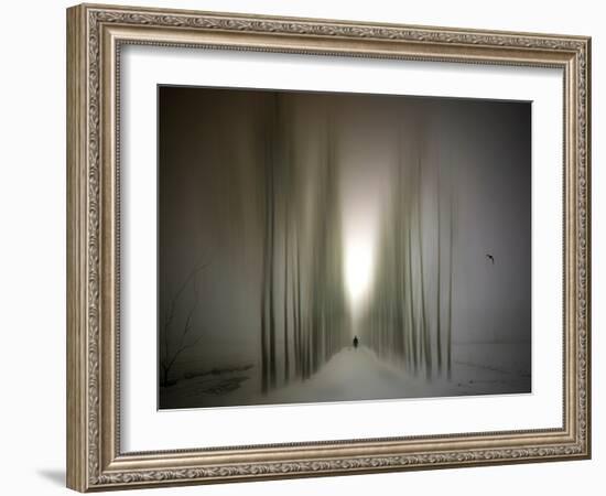 The Avenue-Josh Adamski-Framed Photographic Print