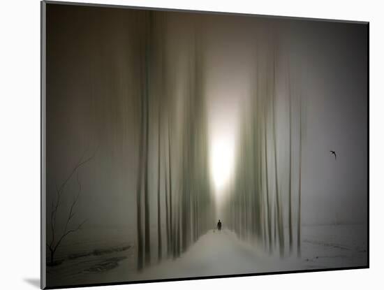 The Avenue-Josh Adamski-Mounted Photographic Print