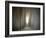 The Avenue-Josh Adamski-Framed Photographic Print