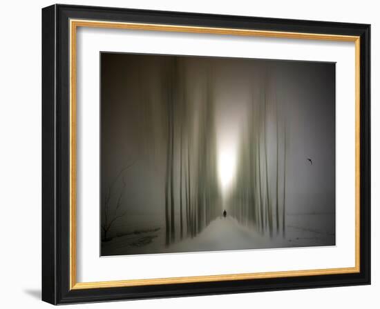 The Avenue-Josh Adamski-Framed Photographic Print